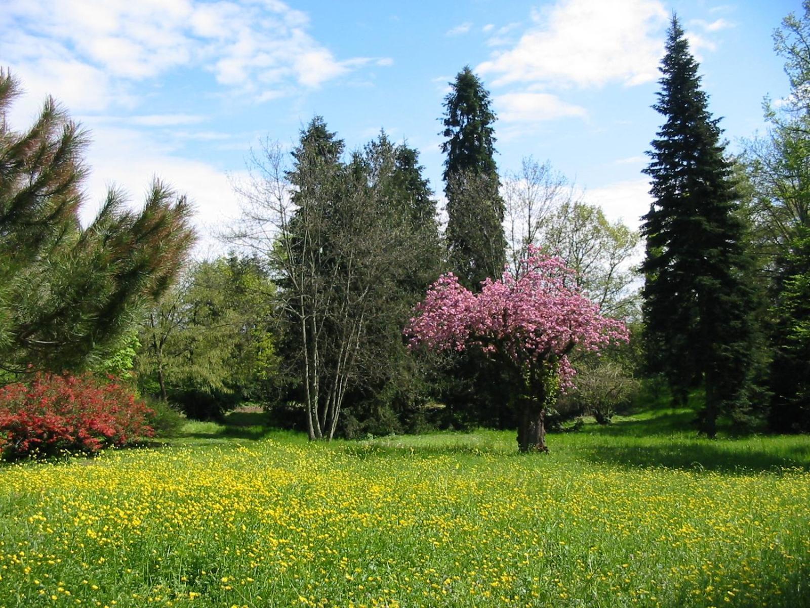 Agriturismo Villa Gropella Valenza Exteriör bild